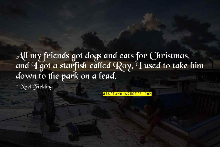 A Starfish Quotes By Noel Fielding: All my friends got dogs and cats for