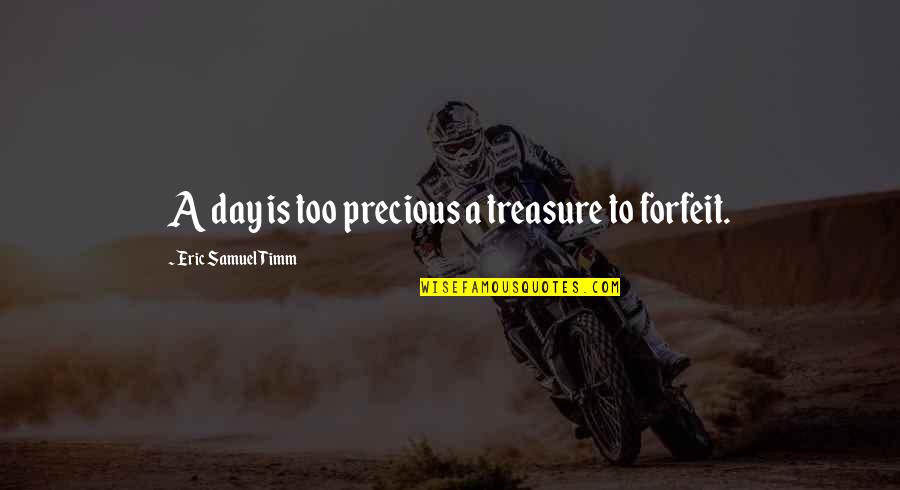 A Static Quotes By Eric Samuel Timm: A day is too precious a treasure to