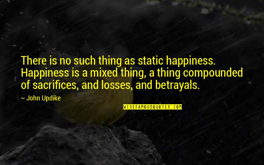 A Static Quotes By John Updike: There is no such thing as static happiness.