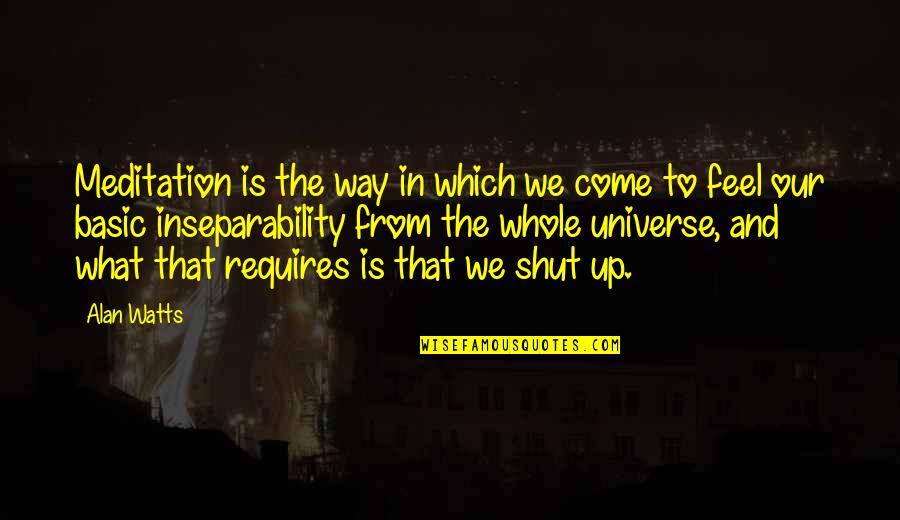 A Step From Heaven Important Quotes By Alan Watts: Meditation is the way in which we come