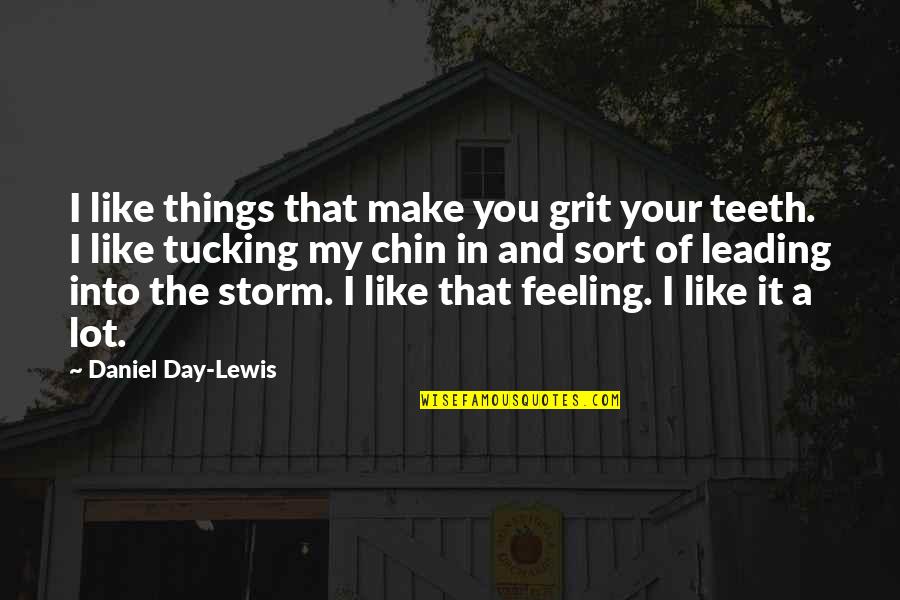A Storm Quotes By Daniel Day-Lewis: I like things that make you grit your