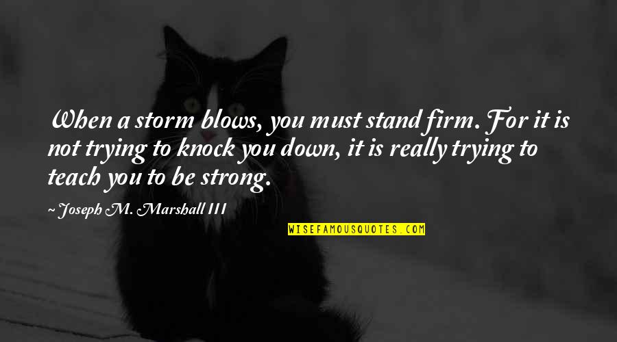 A Storm Quotes By Joseph M. Marshall III: When a storm blows, you must stand firm.
