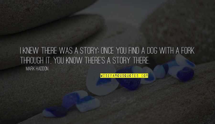 A Story Quotes By Mark Haddon: I knew there was a story; once you