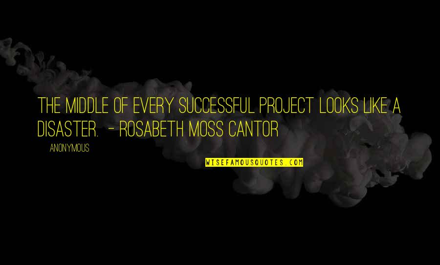 A Successful Project Quotes By Anonymous: The middle of every successful project looks like