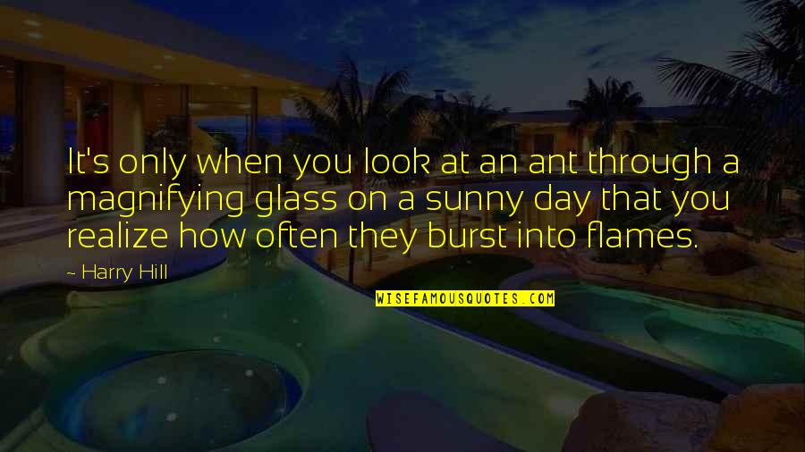 A Sunny Day Quotes By Harry Hill: It's only when you look at an ant