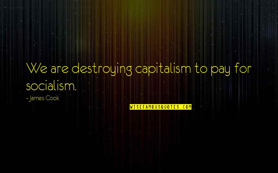 A Surplus Of Light Quotes By James Cook: We are destroying capitalism to pay for socialism.