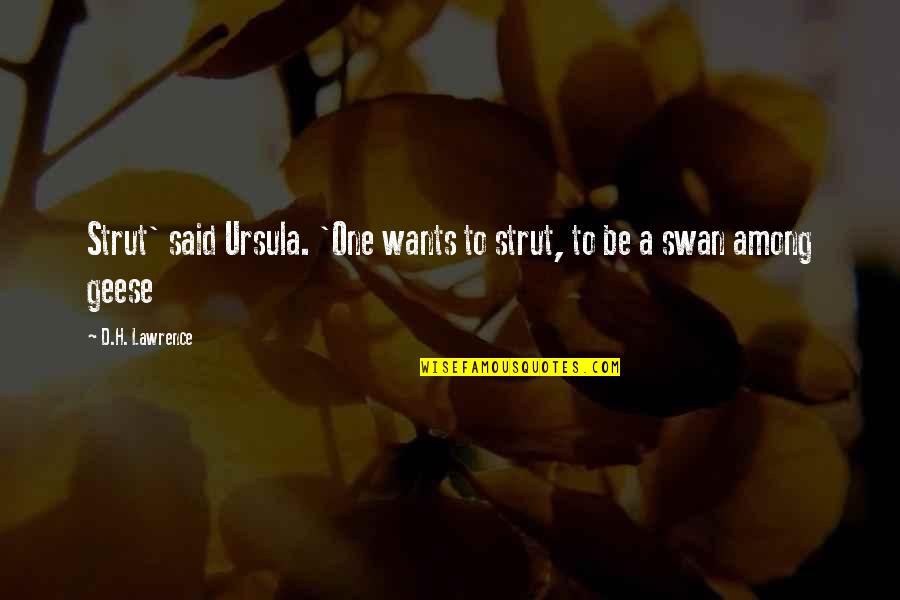 A Swan Quotes By D.H. Lawrence: Strut' said Ursula. 'One wants to strut, to