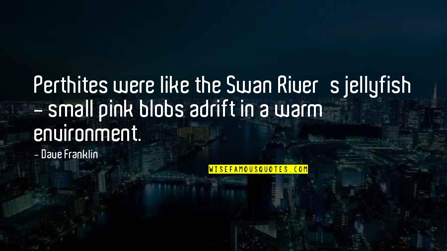 A Swan Quotes By Dave Franklin: Perthites were like the Swan River's jellyfish -