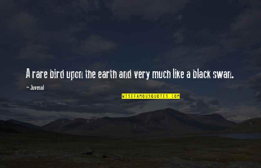 A Swan Quotes By Juvenal: A rare bird upon the earth and very