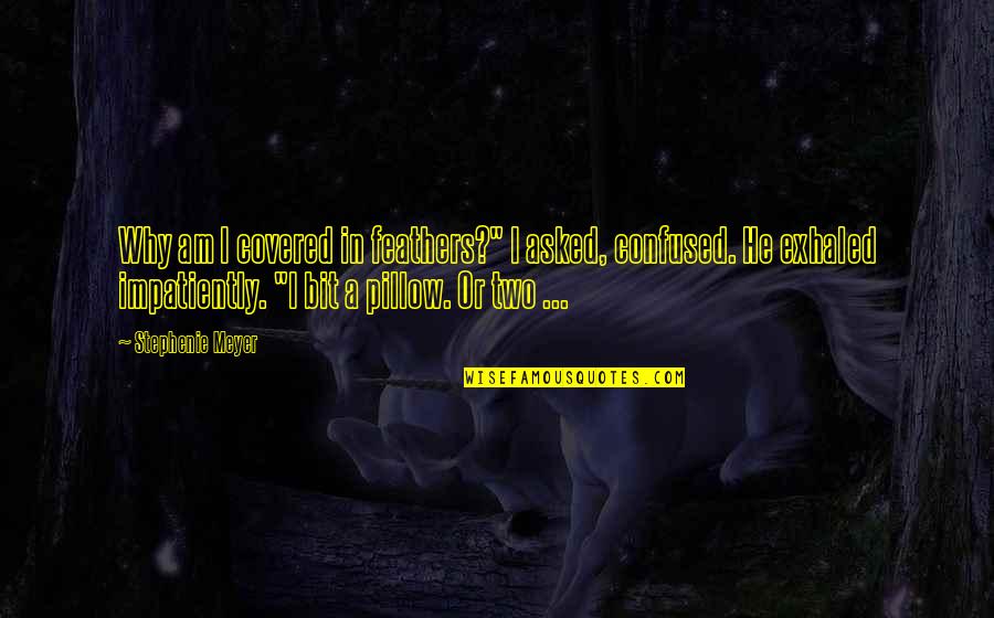 A Swan Quotes By Stephenie Meyer: Why am I covered in feathers?" I asked,