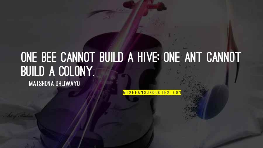 A Teamwork Quotes By Matshona Dhliwayo: One bee cannot build a hive; one ant