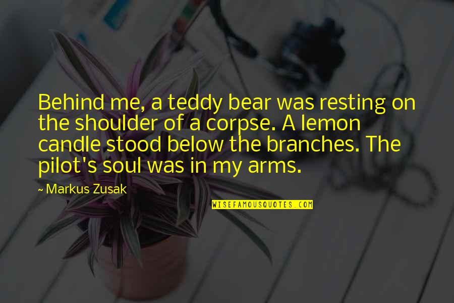 A Teddy Bear Quotes By Markus Zusak: Behind me, a teddy bear was resting on