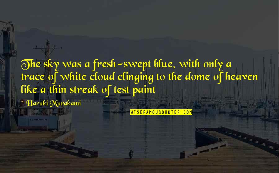 A Test Quotes By Haruki Murakami: The sky was a fresh-swept blue, with only