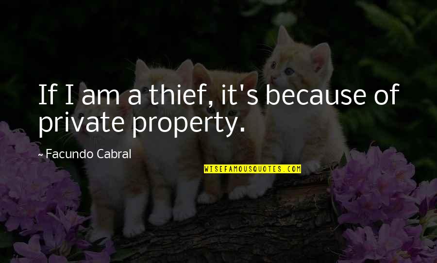 A Thief Quotes By Facundo Cabral: If I am a thief, it's because of