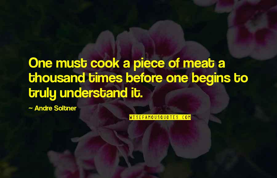 A Thousand Piece Of You Quotes By Andre Soltner: One must cook a piece of meat a