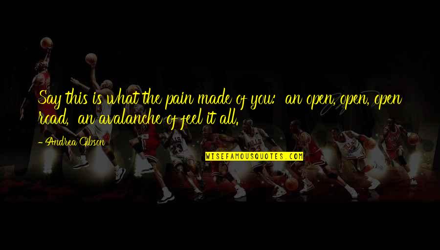 A Thousand Splendid Suns Mariam Marriage Quotes By Andrea Gibson: Say this is what the pain made of A Thousand Splendid Suns Mariam Marriage Quotes By Andrea Gibson: Say this is what the pain made of