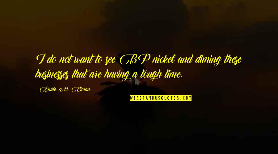 A Tough Time Quotes By Emile M. Cioran: I do not want to see BP nickel