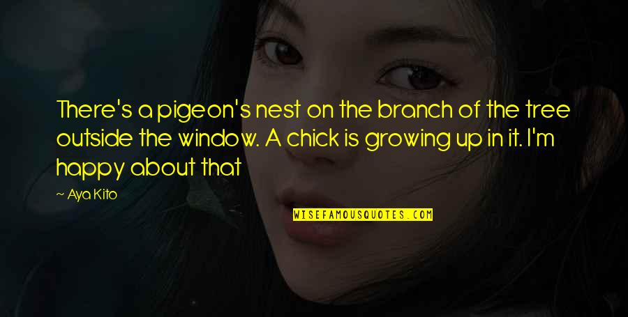 A Tree Branch Quotes By Aya Kito: There's a pigeon's nest on the branch of