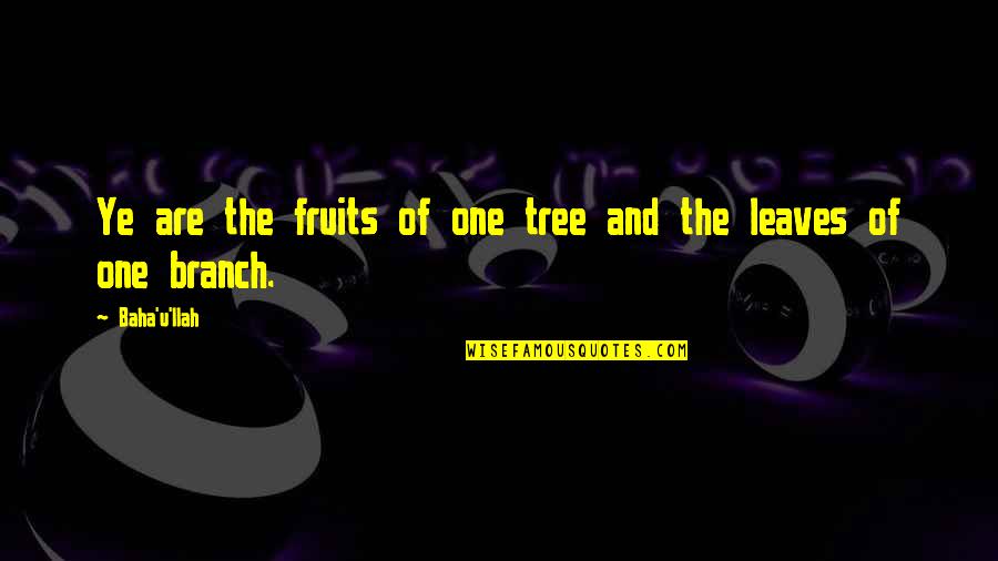 A Tree Branch Quotes By Baha'u'llah: Ye are the fruits of one tree and