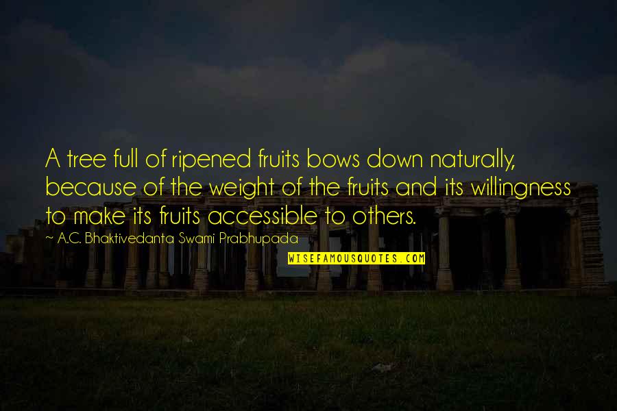 A Tree Quotes By A.C. Bhaktivedanta Swami Prabhupada: A tree full of ripened fruits bows down