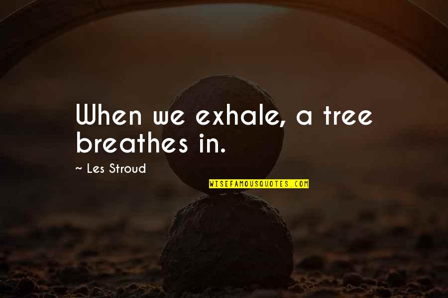 A Tree Quotes By Les Stroud: When we exhale, a tree breathes in.