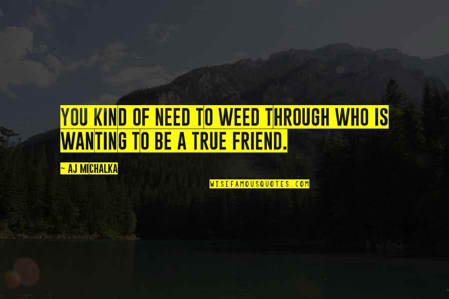 A True Friend Is Quotes By AJ Michalka: You kind of need to weed through who