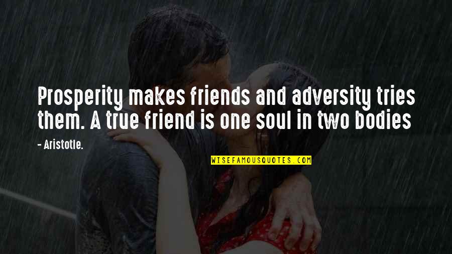 A True Friend Is Quotes By Aristotle.: Prosperity makes friends and adversity tries them. A