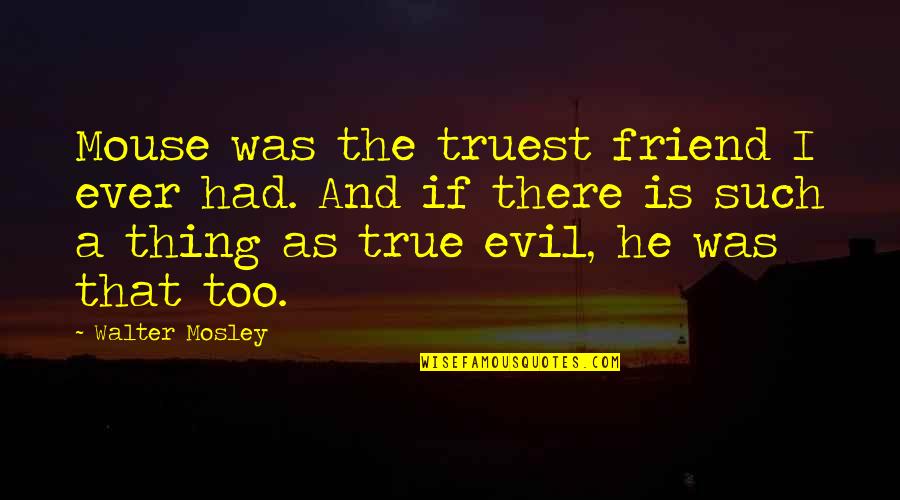 A True Friend Is Quotes By Walter Mosley: Mouse was the truest friend I ever had.