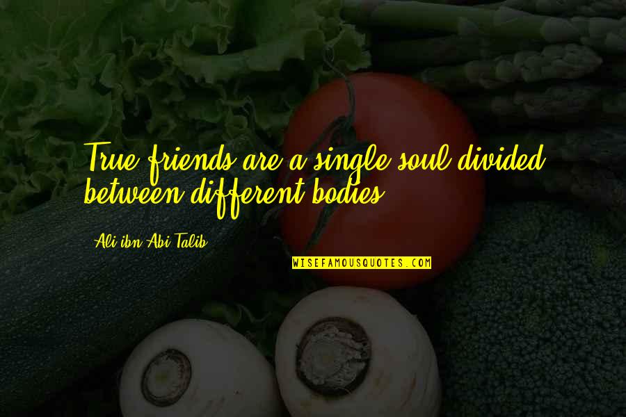 A True Friend Quotes By Ali Ibn Abi Talib: True friends are a single soul divided between A True Friend Quotes By Ali Ibn Abi Talib: True friends are a single soul divided between