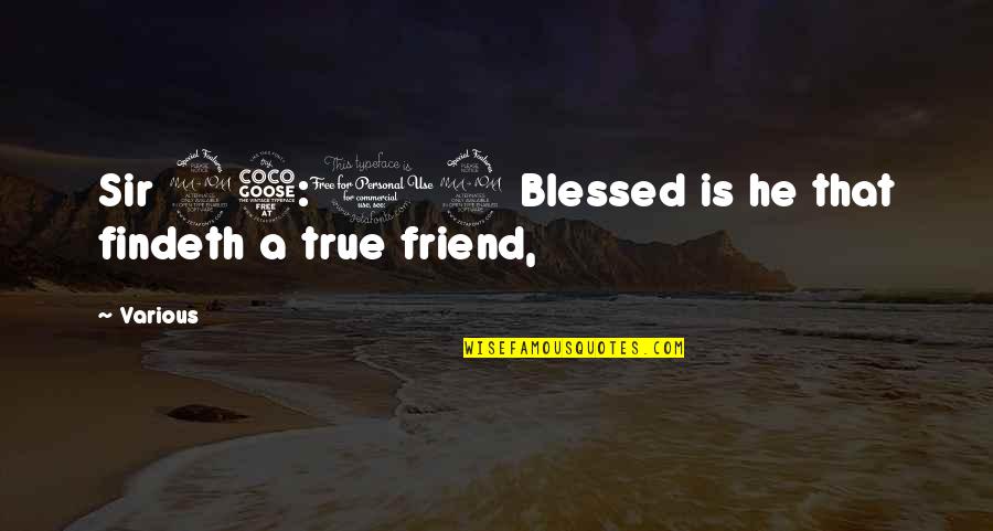A True Friend Quotes By Various: Sir 25:12 Blessed is he that findeth a