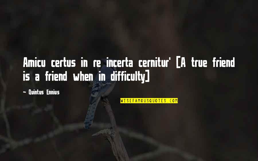 A True Friendship Quotes By Quintus Ennius: Amicu certus in re incerta cernitur' [A true