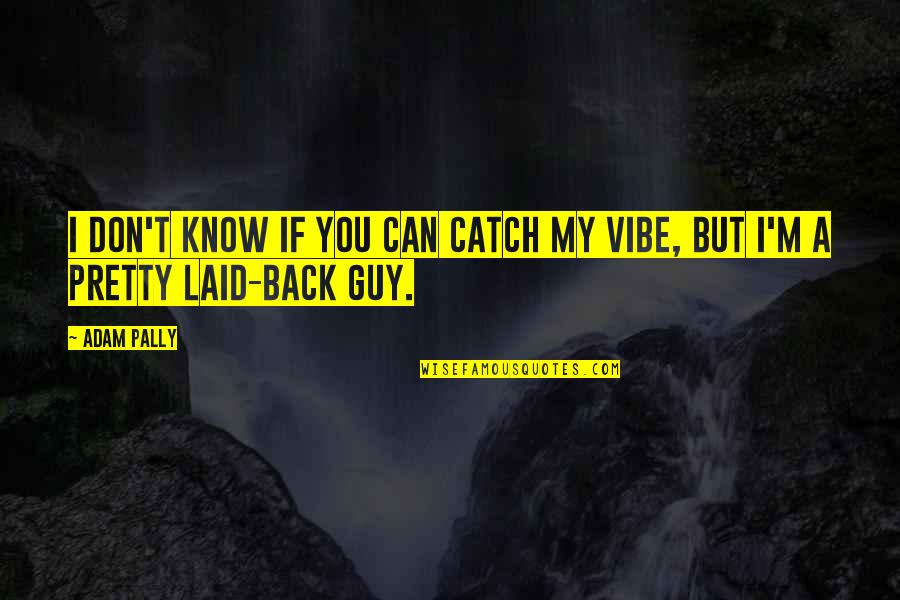 A Vibe Quotes By Adam Pally: I don't know if you can catch my