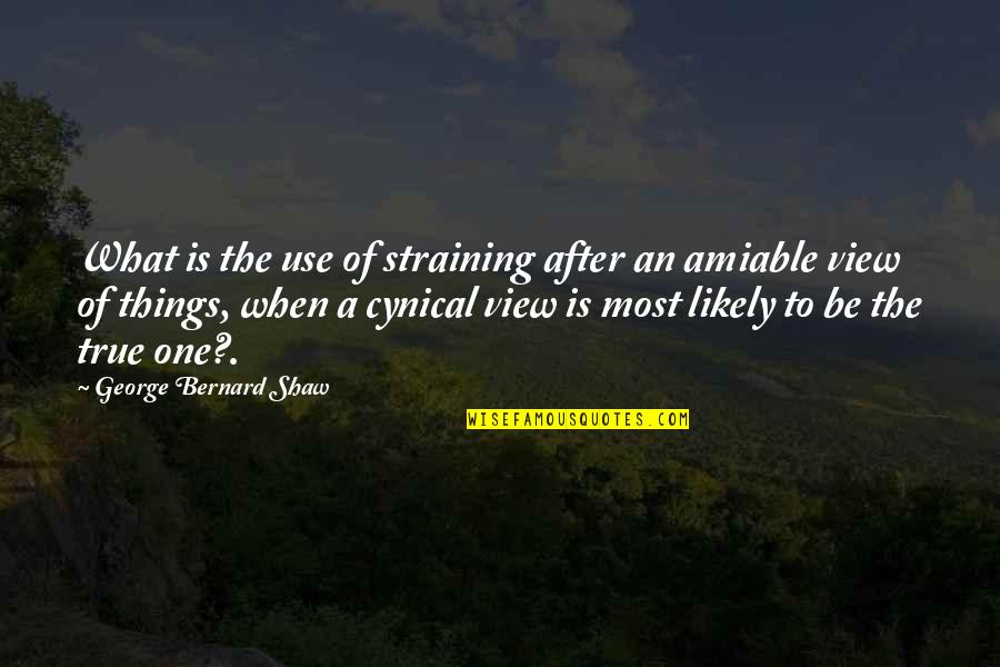 A View Quotes By George Bernard Shaw: What is the use of straining after an