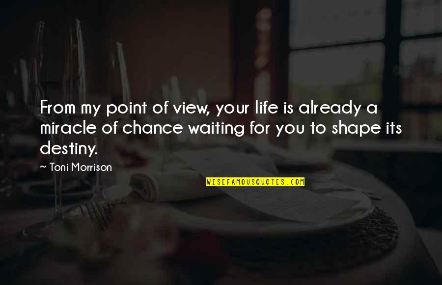 A View Quotes By Toni Morrison: From my point of view, your life is