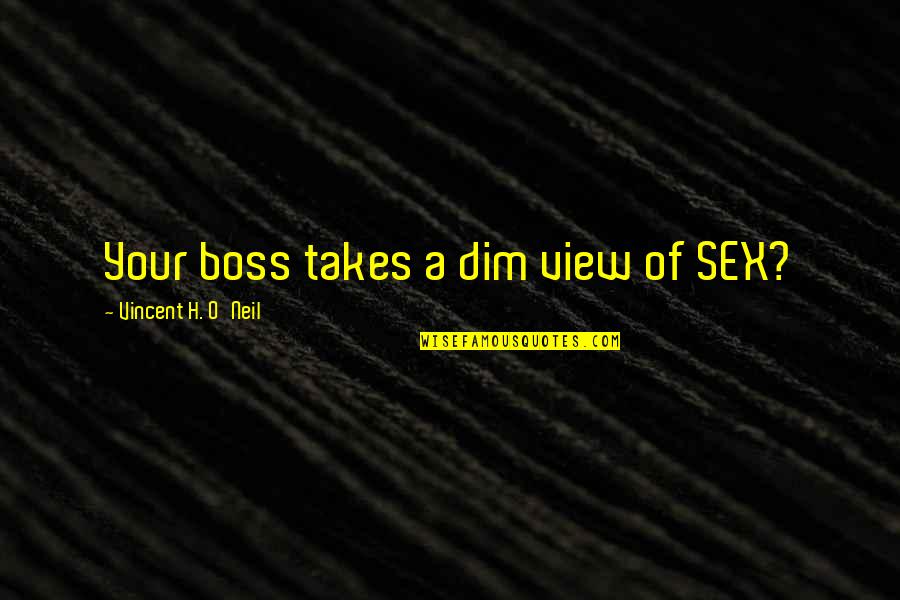 A View Quotes By Vincent H. O'Neil: Your boss takes a dim view of SEX?