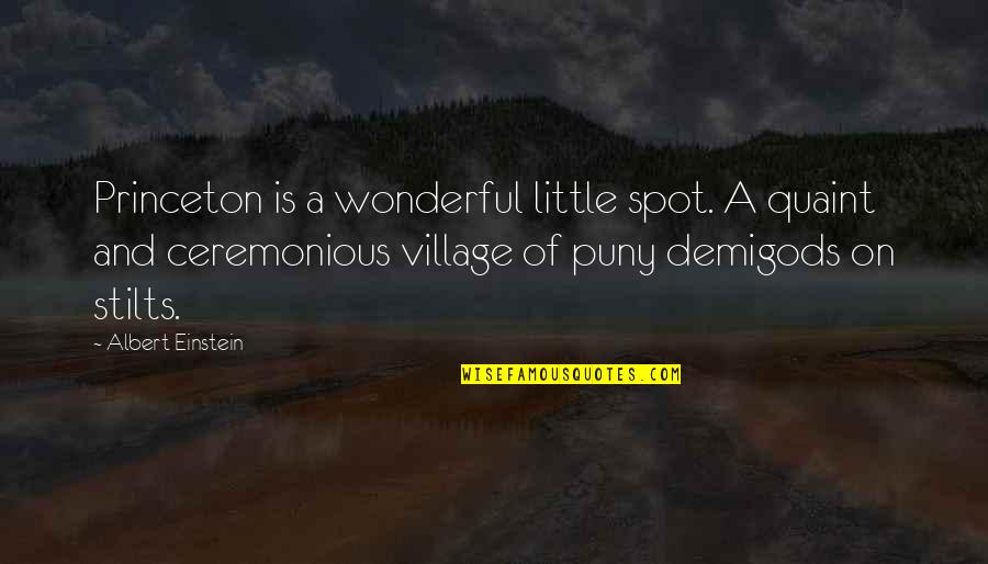 A Village Quotes By Albert Einstein: Princeton is a wonderful little spot. A quaint