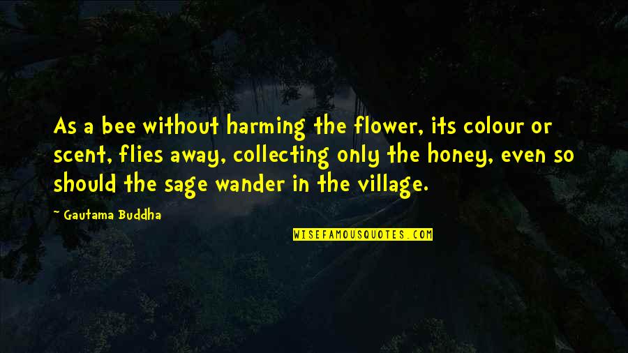 A Village Quotes By Gautama Buddha: As a bee without harming the flower, its