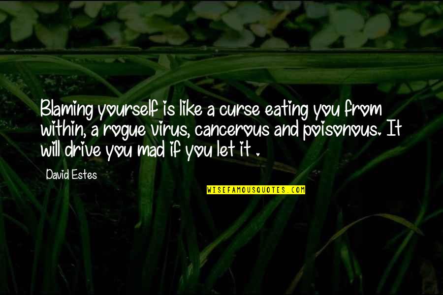A Virus Quotes By David Estes: Blaming yourself is like a curse eating you