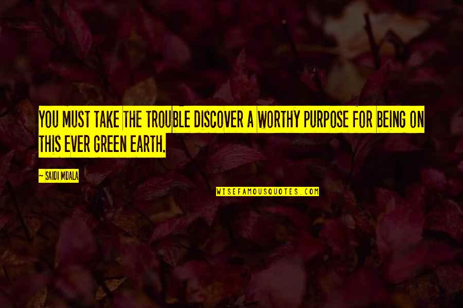 A Vision Of Green Quotes By Saidi Mdala: You must take the trouble discover a worthy A Vision Of Green Quotes By Saidi Mdala: You must take the trouble discover a worthy