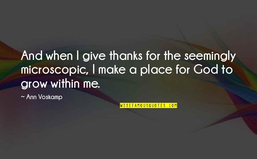 A Voskamp Quotes By Ann Voskamp: And when I give thanks for the seemingly
