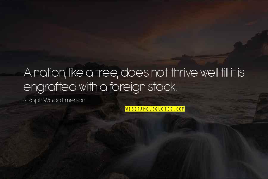 A&w Stock Quotes By Ralph Waldo Emerson: A nation, like a tree, does not thrive A&w Stock Quotes By Ralph Waldo Emerson: A nation, like a tree, does not thrive
