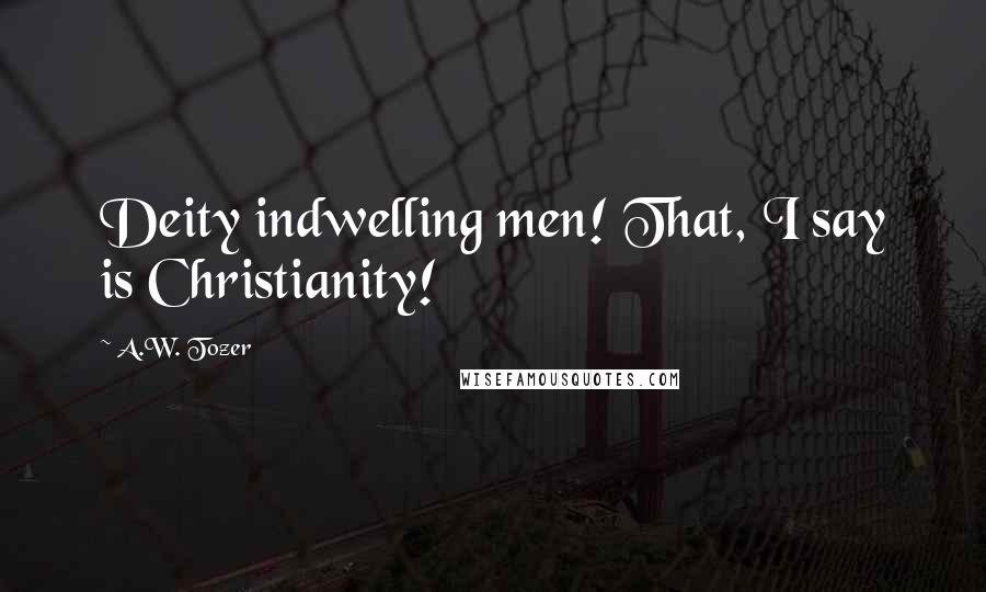 A.W. Tozer quotes: Deity indwelling men! That, I say is Christianity!