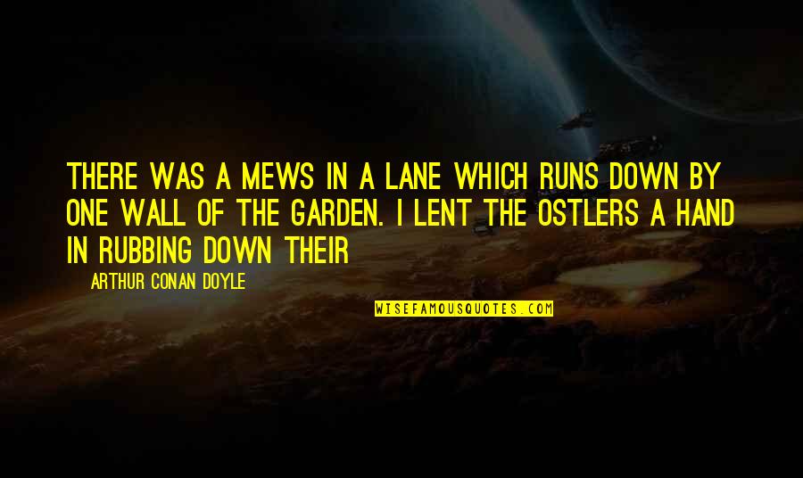 A Wall Quotes By Arthur Conan Doyle: There was a mews in a lane which A Wall Quotes By Arthur Conan Doyle: There was a mews in a lane which