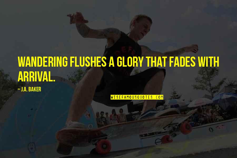A Wandering Quotes By J.A. Baker: Wandering flushes a glory that fades with arrival. A Wandering Quotes By J.A. Baker: Wandering flushes a glory that fades with arrival.