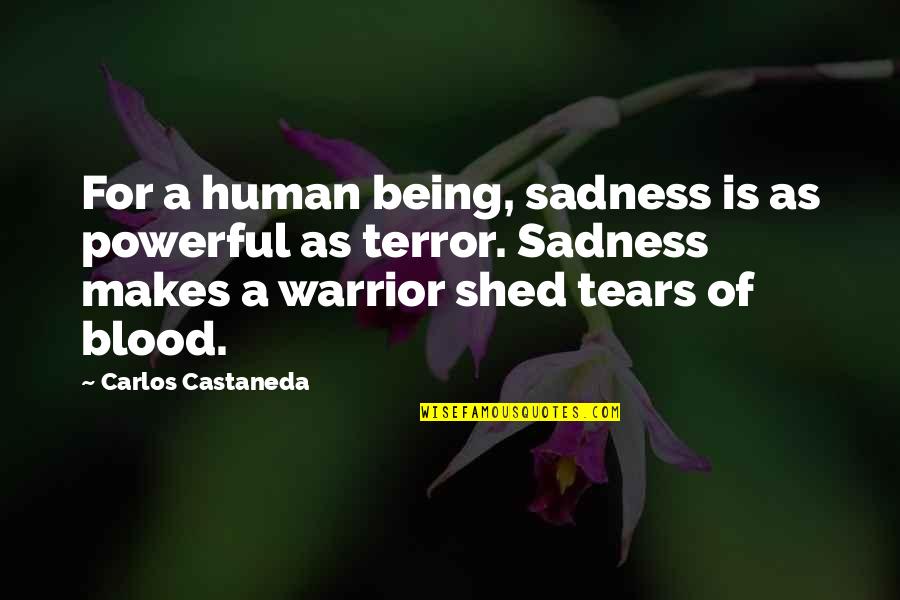 A Warrior Quotes By Carlos Castaneda: For a human being, sadness is as powerful