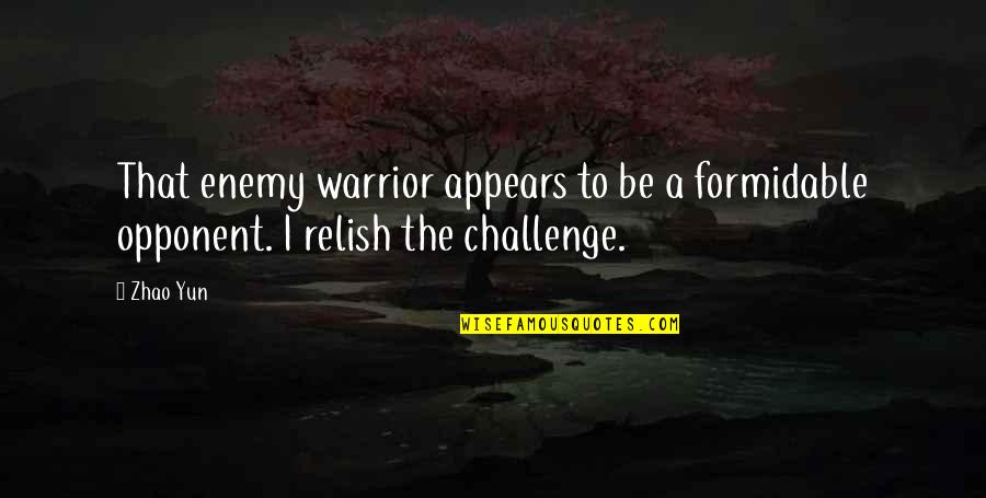 A Warrior Quotes By Zhao Yun: That enemy warrior appears to be a formidable