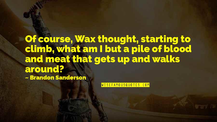 A Wax Quotes By Brandon Sanderson: Of course, Wax thought, starting to climb, what