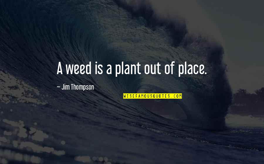 A Weed Is A Plant Quotes By Jim Thompson: A weed is a plant out of place. A Weed Is A Plant Quotes By Jim Thompson: A weed is a plant out of place.