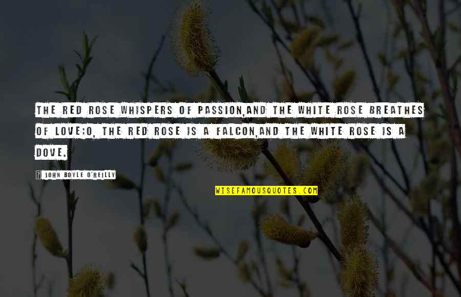 A White Rose Quotes By John Boyle O'Reilly: The red rose whispers of passion,And the white