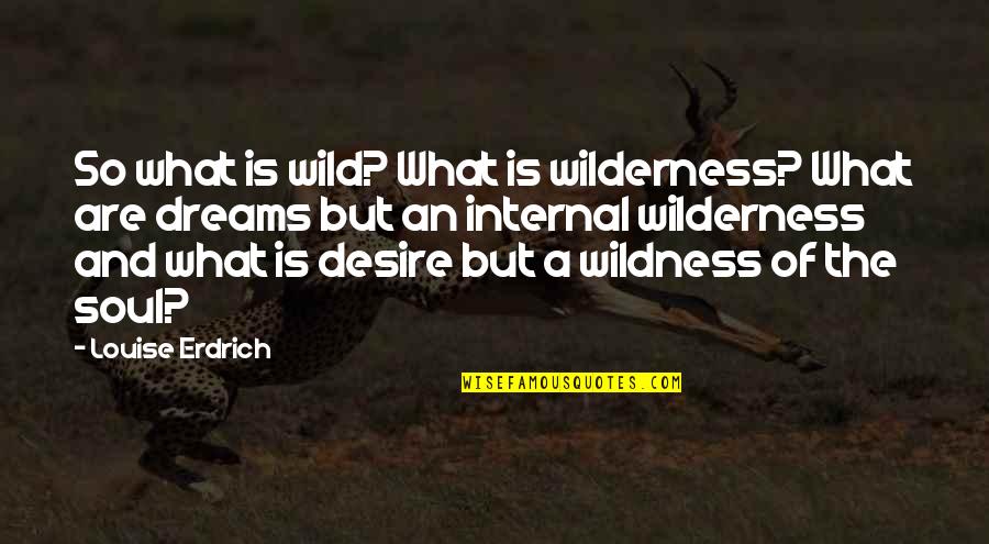 A Wild Soul Quotes By Louise Erdrich: So what is wild? What is wilderness? What